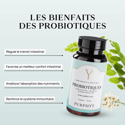 Les bienfaits des probiotiques de Purphyt